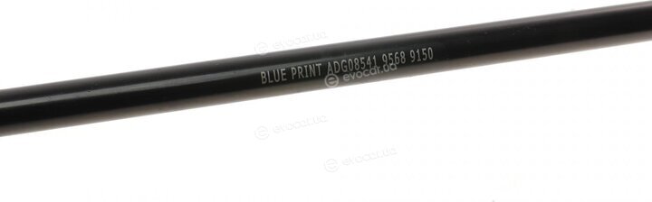 Blue Print ADG08541