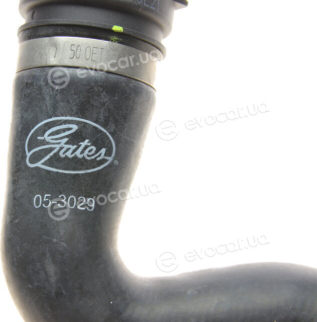 Gates 05-3029