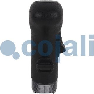 Cojali 2880141