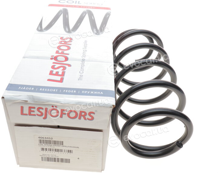 Lesjofors 4063452