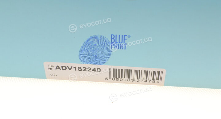 Blue Print ADV182240