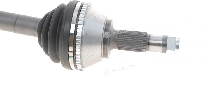 Magneti Marelli 302004190031