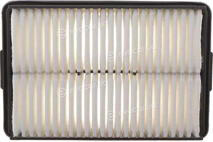 Solgy 103174