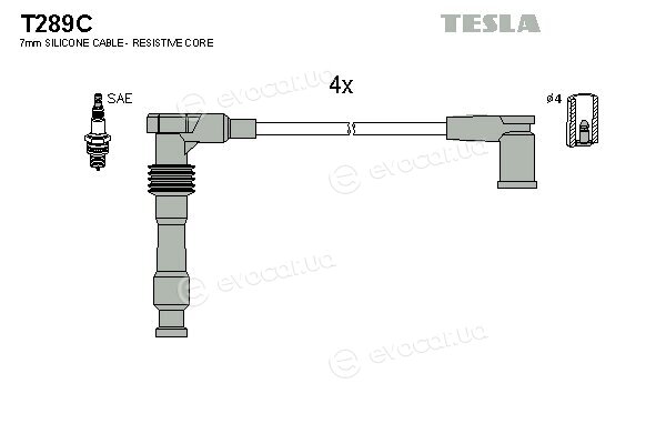Tesla T289C
