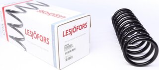 Lesjofors 4208428