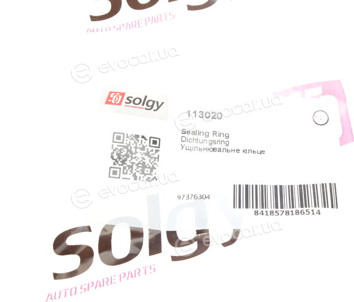 Solgy 113020
