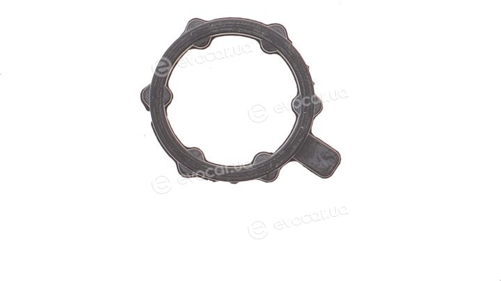 Elring 625.600