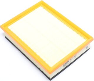 Hengst E173L01