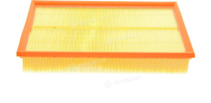 Mann C 34 175