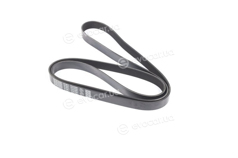 Dayco 7PK2081