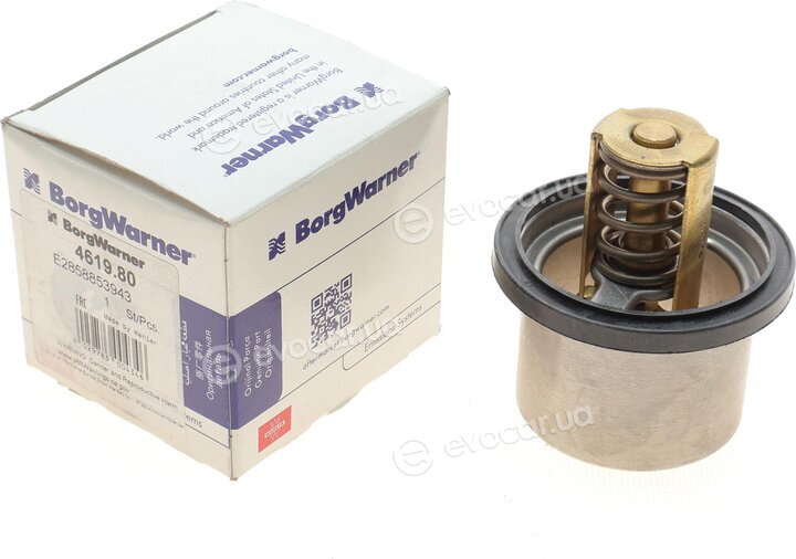 Wahler / BorgWarner 4619.80