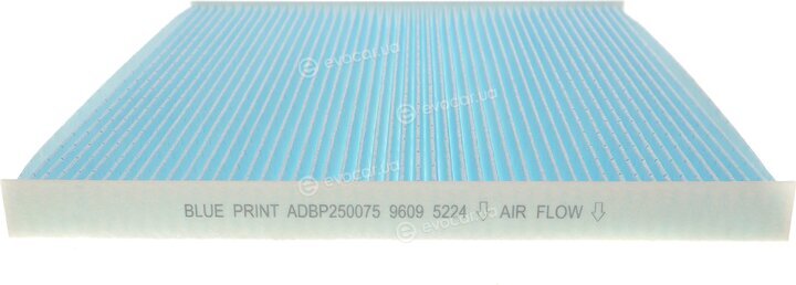 Blue Print ADBP250075