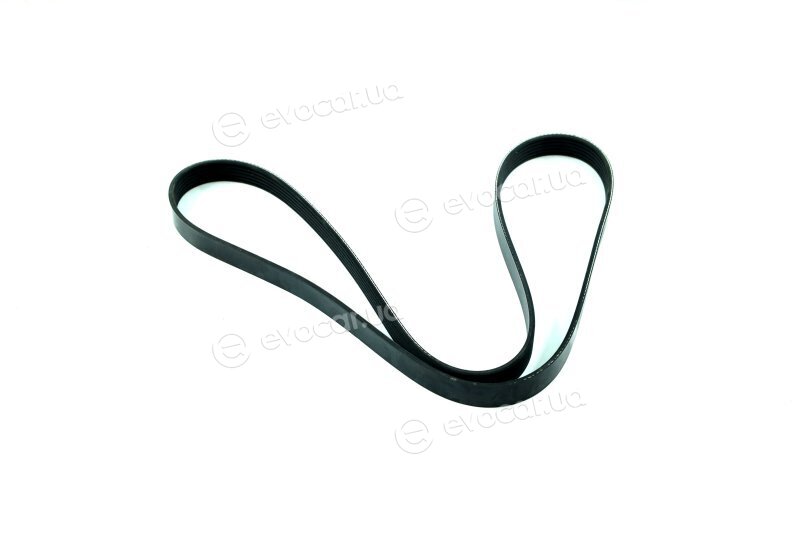 Dayco 6PK1437