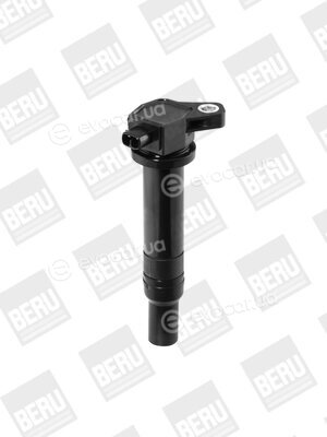 Beru ZS481