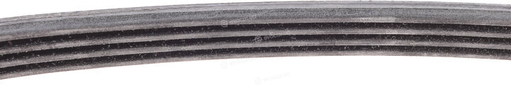 Continental 4PK643 ELAST