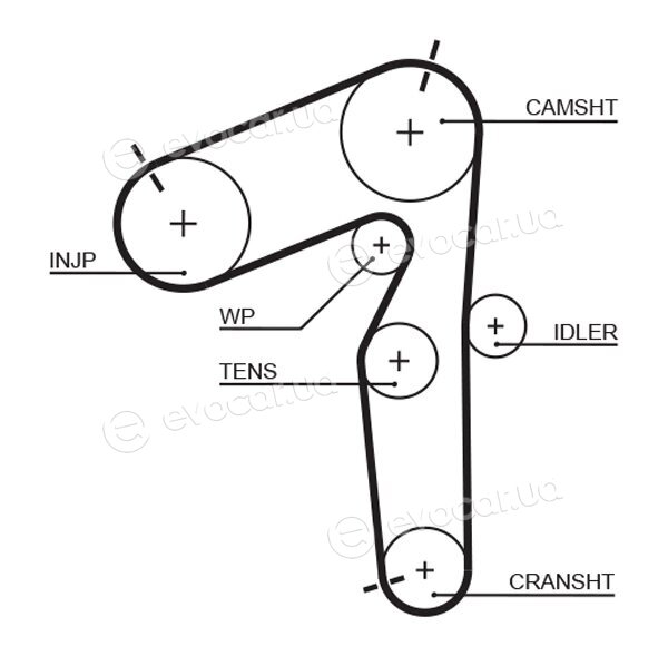 Gates 5462XS