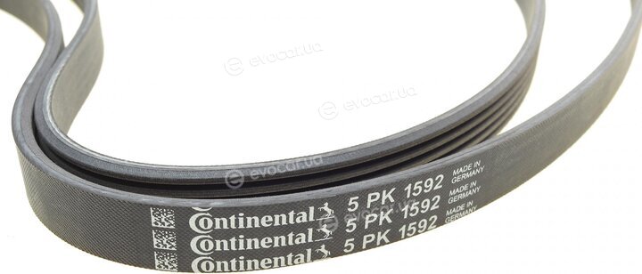 Continental 5PK1592WP1