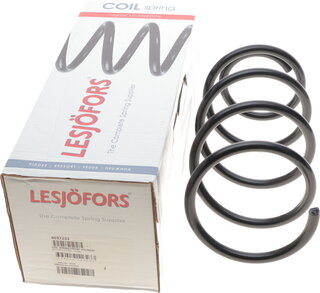 Lesjofors 4037233