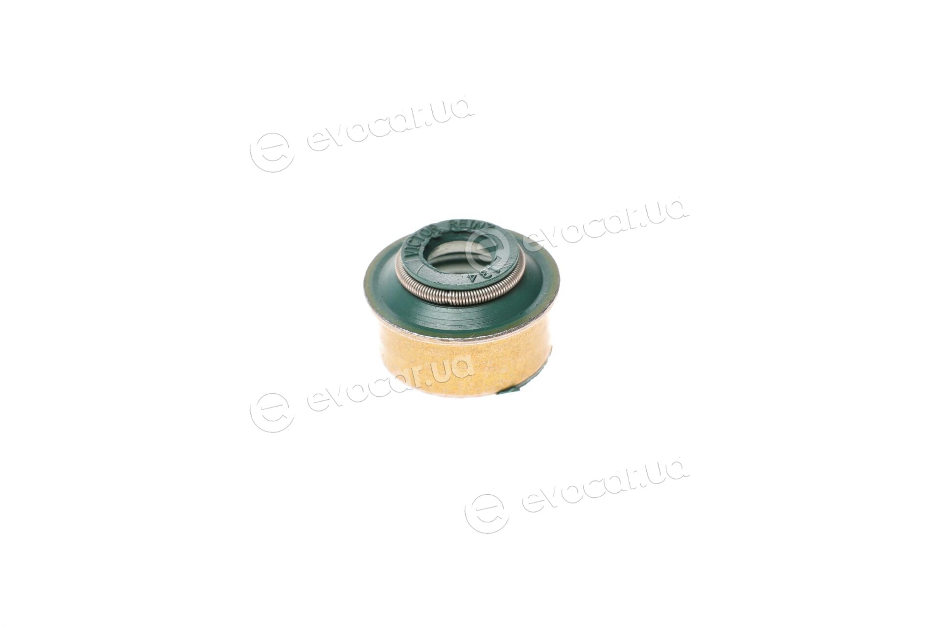 Victor Reinz 01-53300-02