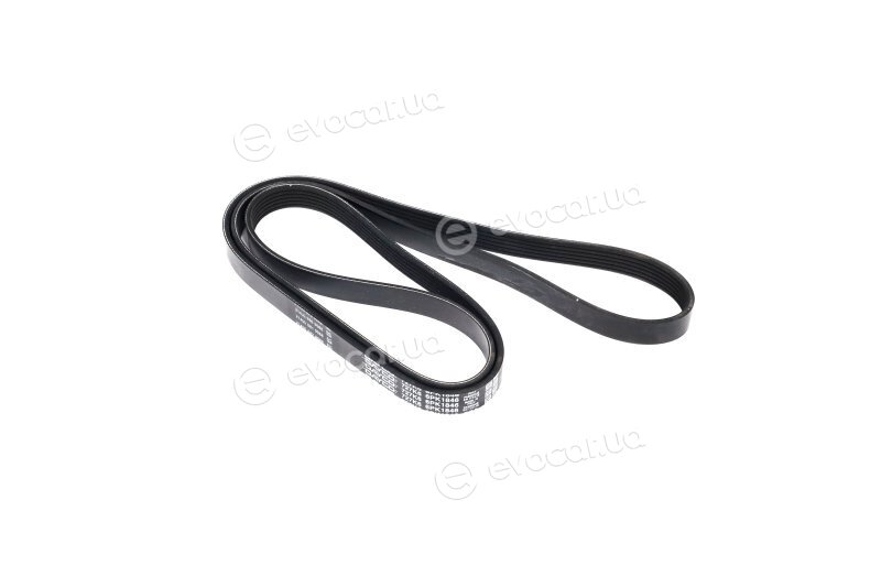 Dayco 6PK1846