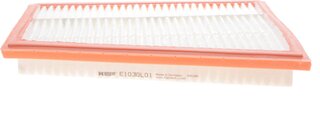 Hengst E1030L01