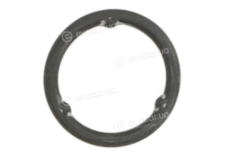 Elring 315.540