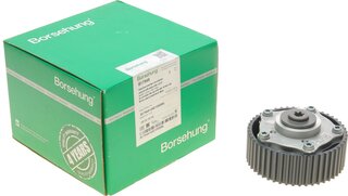 Borsehung B17949