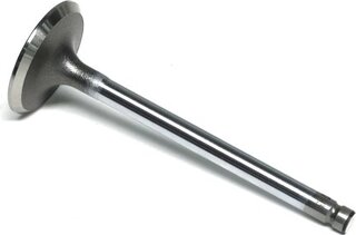 Gunes 5641