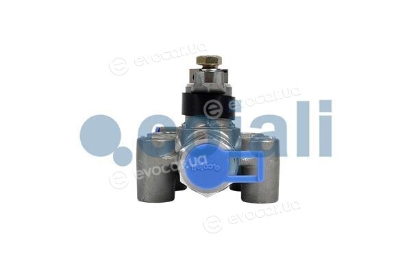 Cojali 2314303