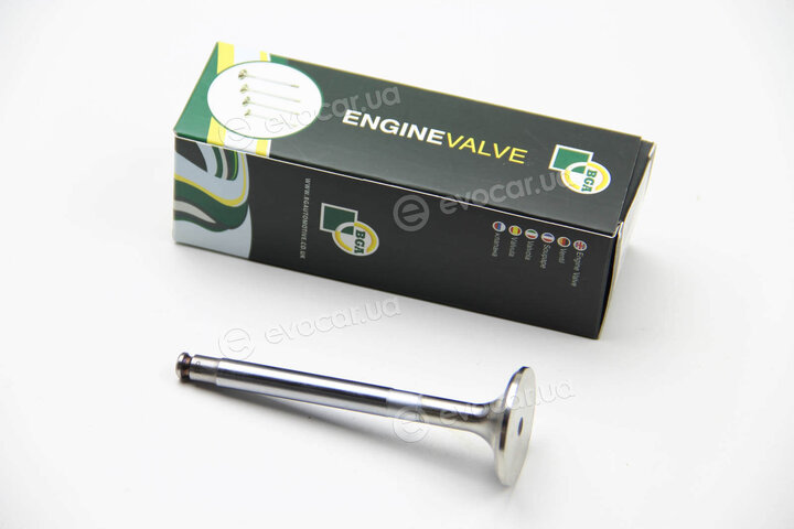 BGA V026032
