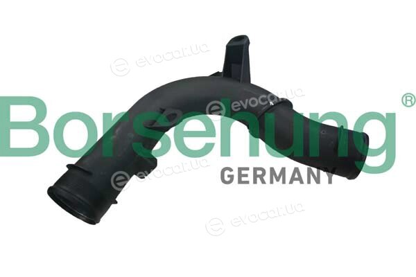 Borsehung B12351
