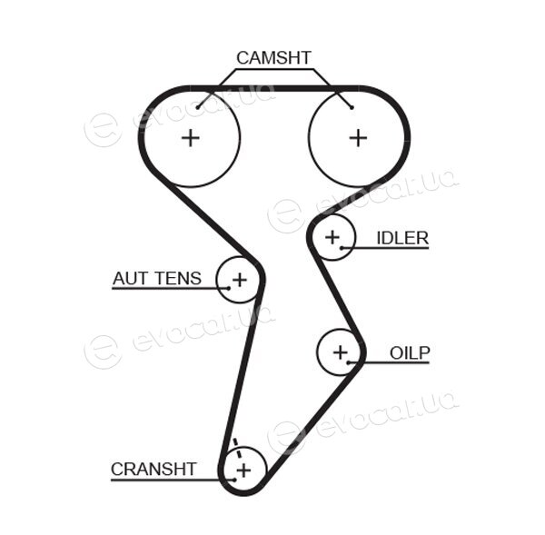 Gates K015432XS