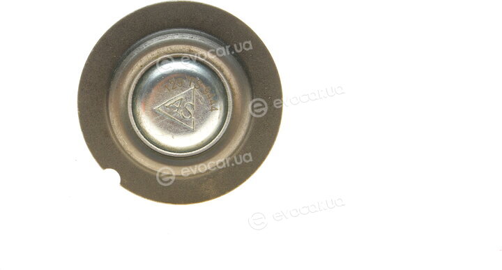AS Metal 10VW1300