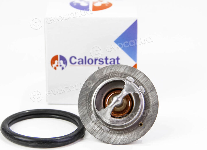 Vernet / Calorstat TH5977.88J