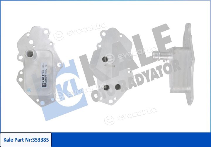 Kale 353385