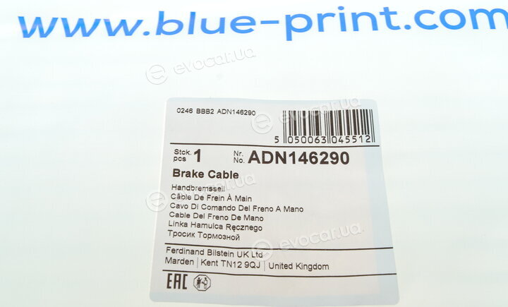 Blue Print ADN146290