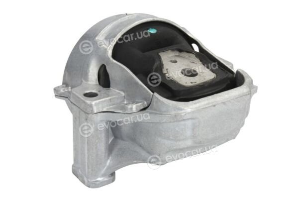Reinhoch RH11-0080