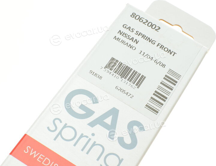 Lesjofors 8062002