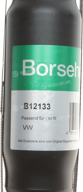 Borsehung B12133