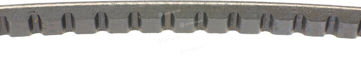 Continental AVX10X838