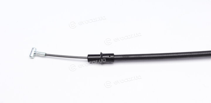 Linex 38.10.09