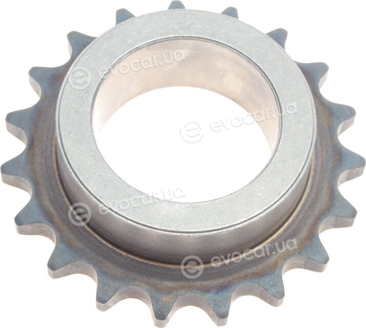 Borsehung B16295