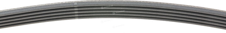 Continental 5PK1800