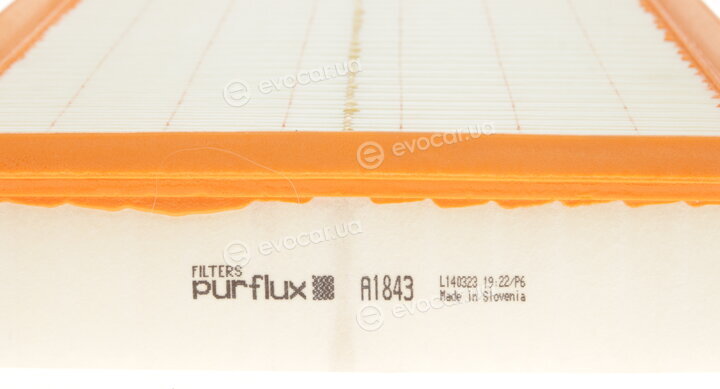 Purflux A1843