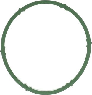 Starline GA 3079