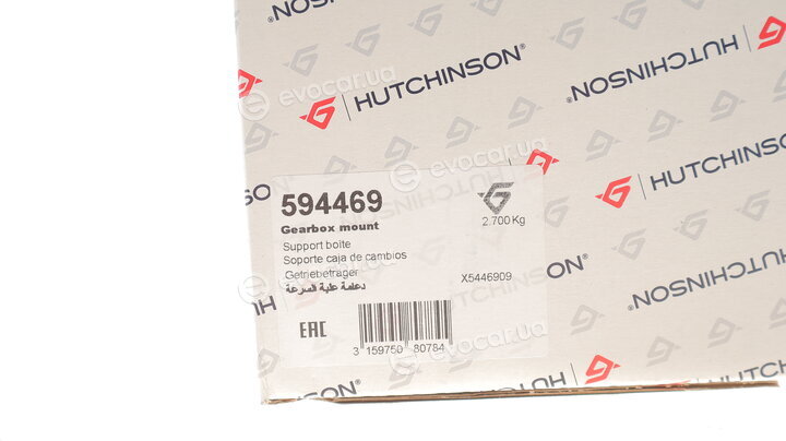 Hutchinson 594469