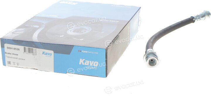 Kavo BBH-8526