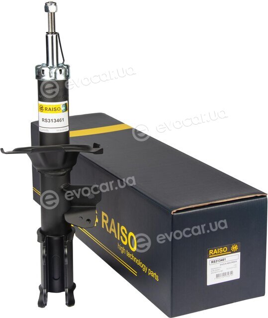 Raiso RS313461
