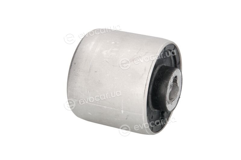 Tedgum TED58282