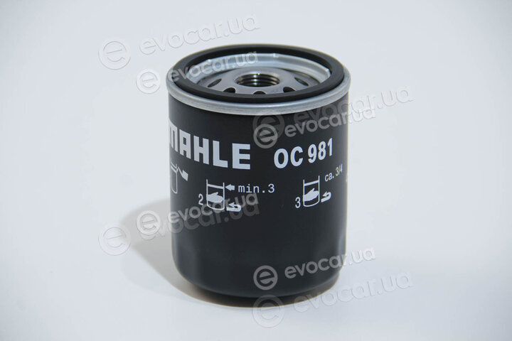 Mahle OC 981